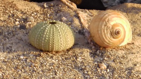 Sur la plage